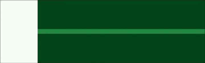 Movie of the Laser Simulation