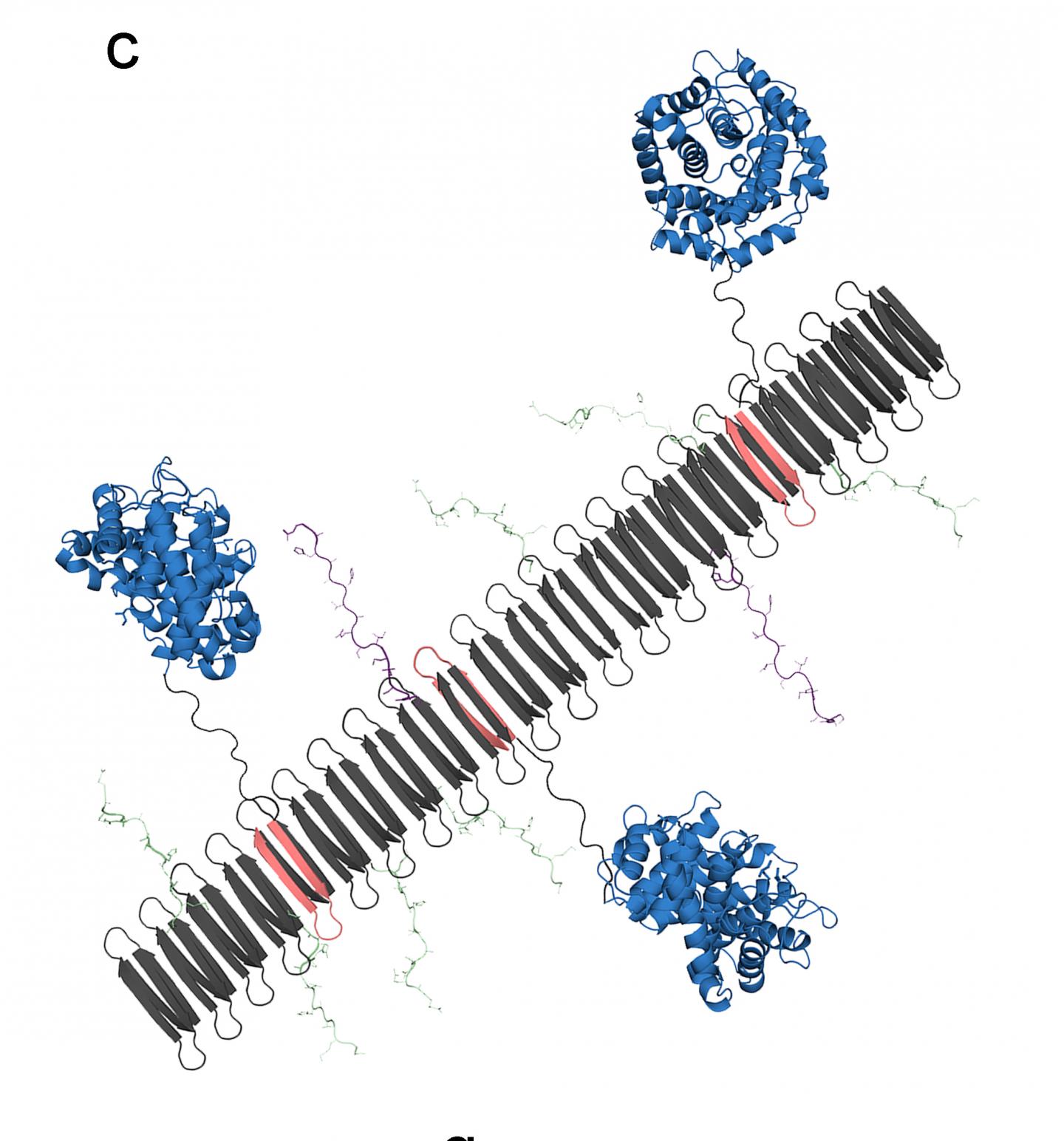 Nanofiber Graphic with C3dg