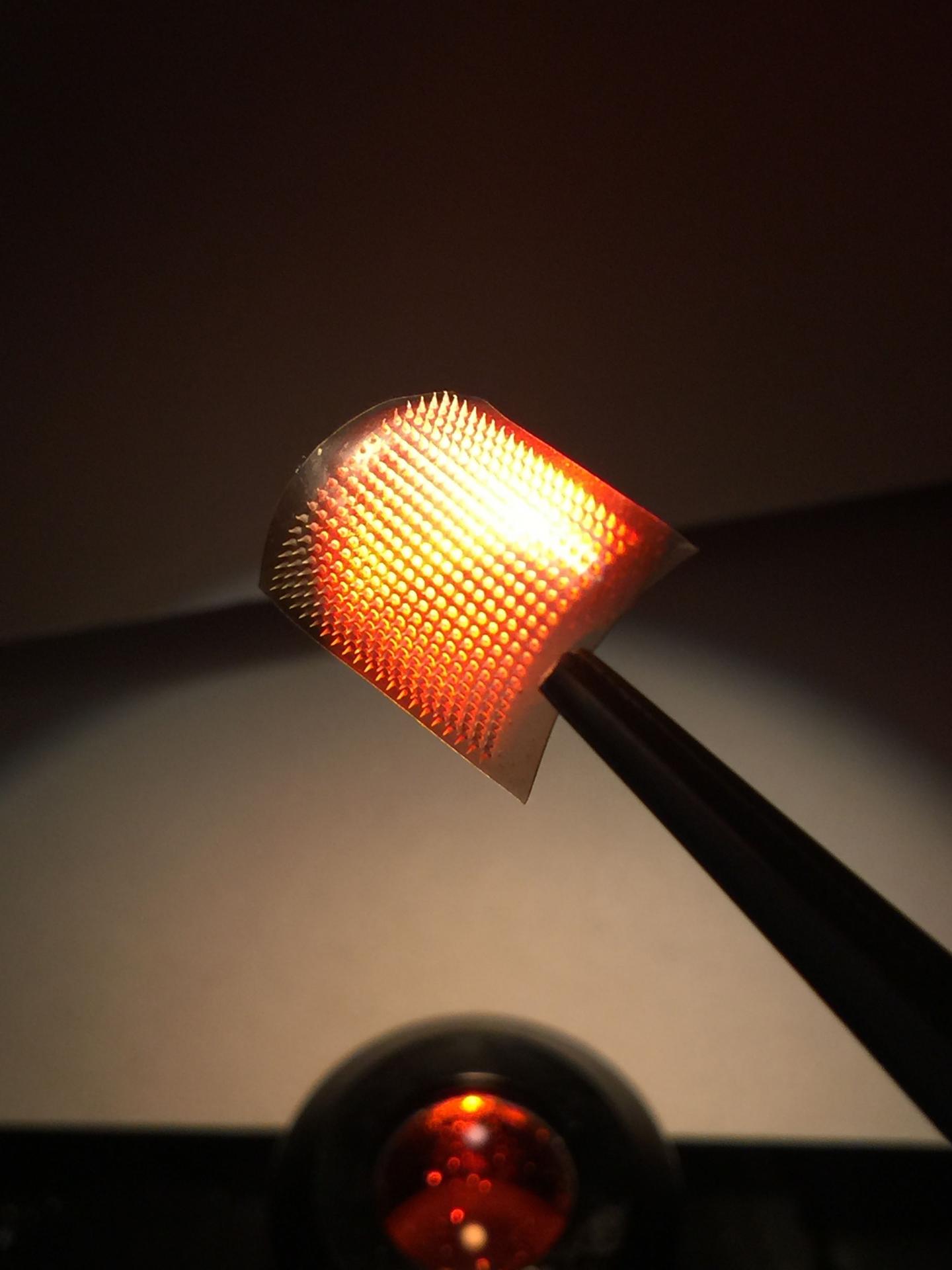 LightResponsive Cancer Immuno [IMAGE] EurekAlert! Science News Releases