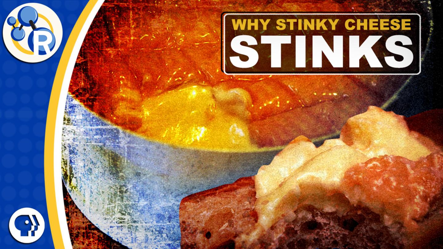 Why Stinky Cheeses Stink (Video)