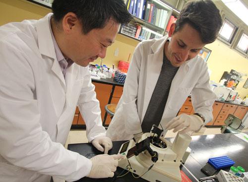 Jeong-Yeol Yoon and Dustin Harshman, University of Arizona