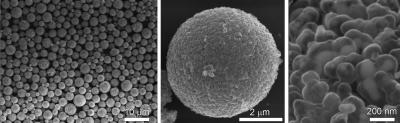 Microscope Images of Battery Nanoparticles