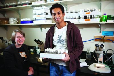 Biologists Map Incompatible Genotype