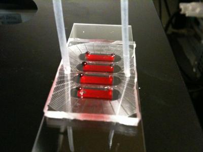 Microfluidic Blood Test Developed at UC Davis