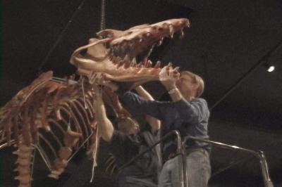 50-Foot-Long Skeleton [IMAGE] | EurekAlert! Science News Releases