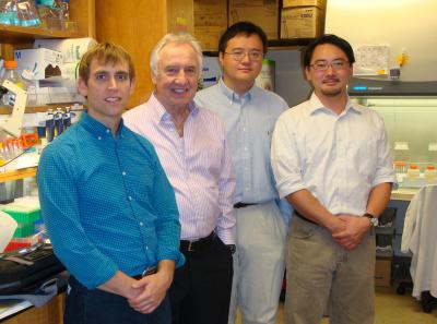 Collaboration Achieves Atomic-Level Picture of HCV Structure