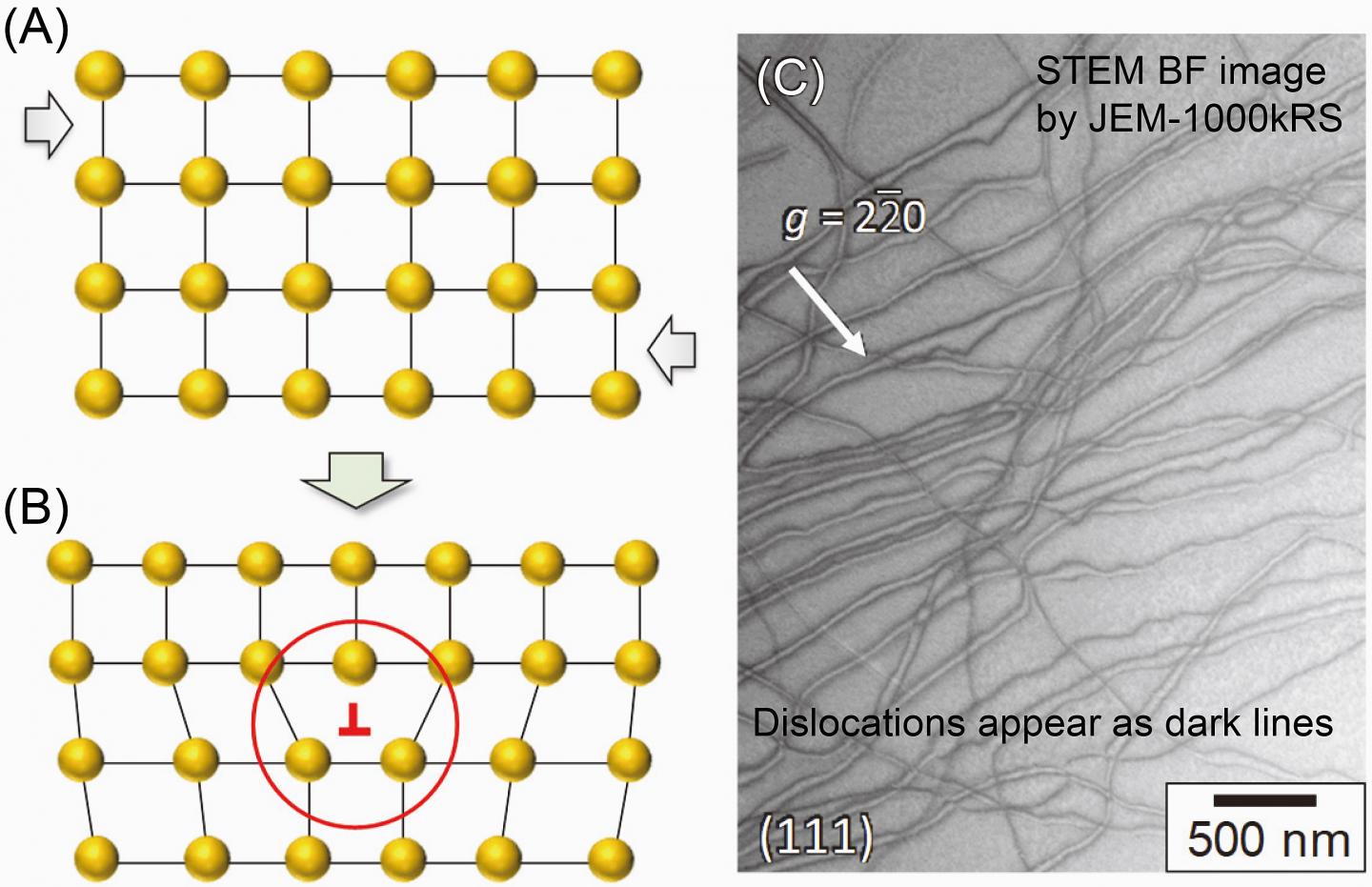 Dislocations Inducing the Extraordinary Plasticity