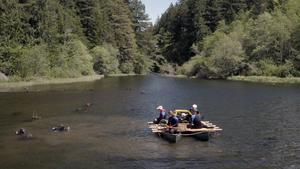 Team collecting samples