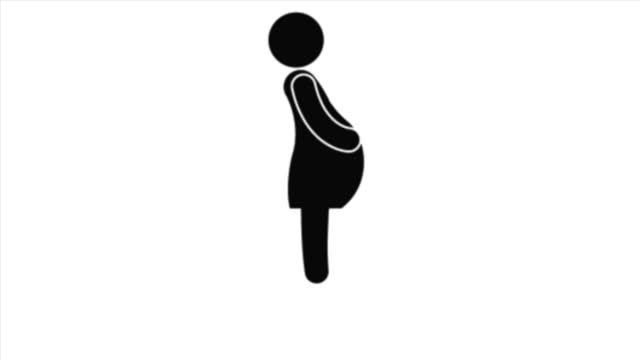 3-D Motion Capture of Pregnant Women by Hiroshima University