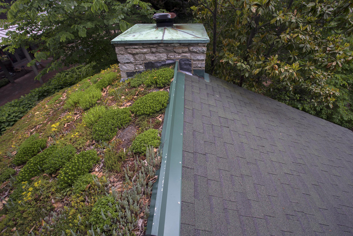 GREEN ROOF