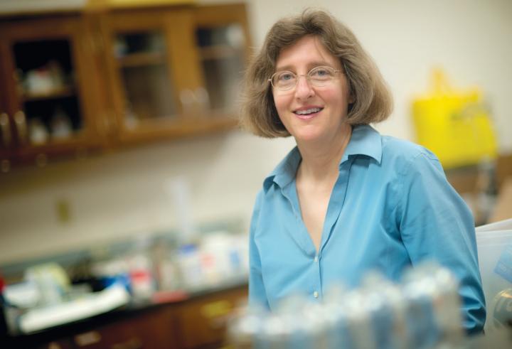 Melanie Sattler, University of Texas at Arlington