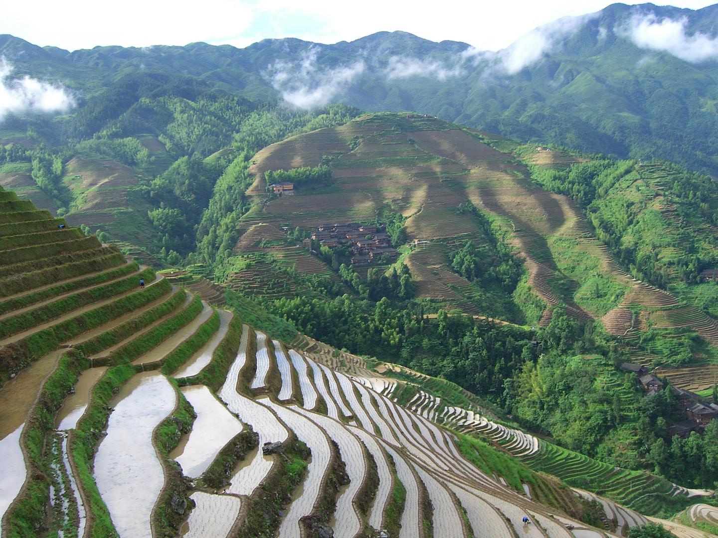 Food production occurs in a diversity of landscapes, including the Dragon's Backbone Rice Terraces in China.