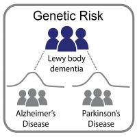 Lewy Body Dementia Ties to Alzheimer's and Parkinson's Diseases