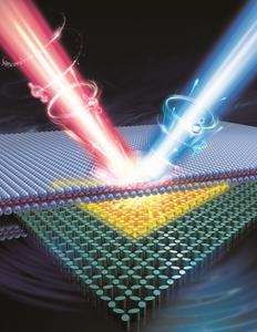 Illustration of a spin-valley Rashba monolayer laser