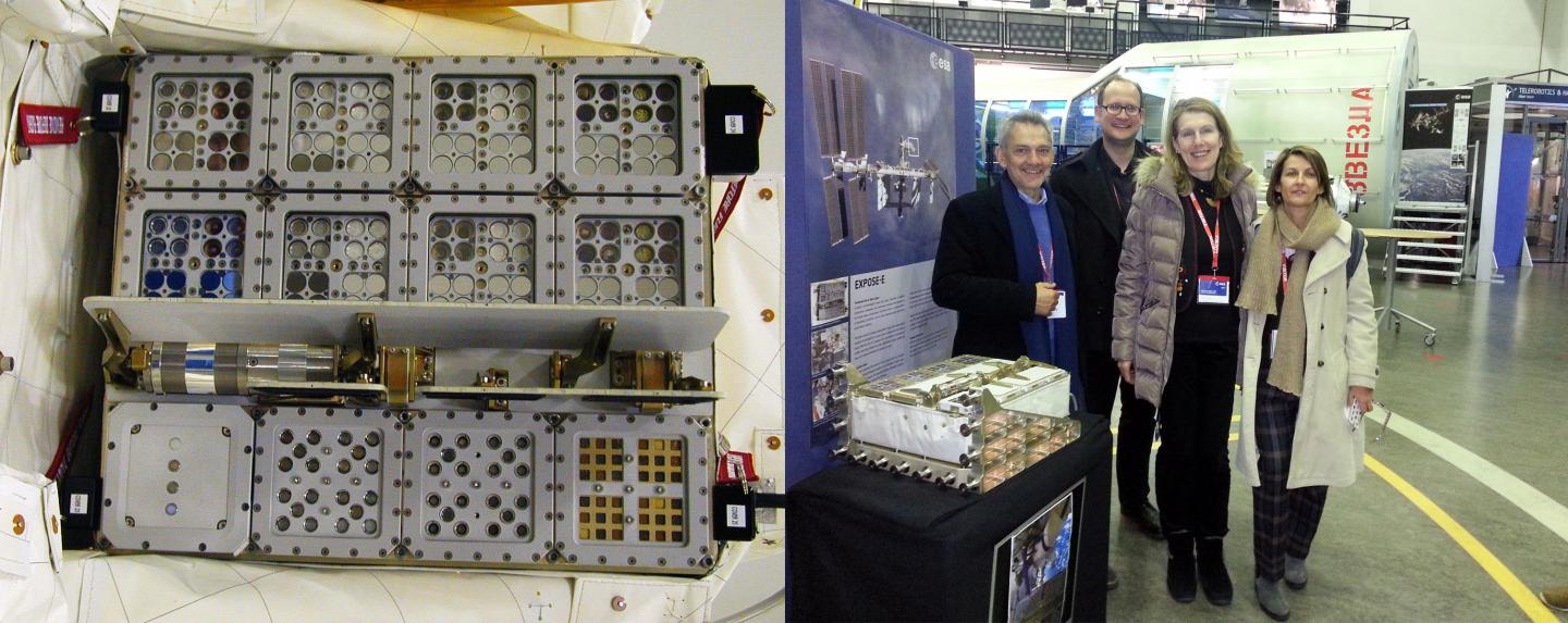 Antarctic Fungi on the ISS (2 of 3)