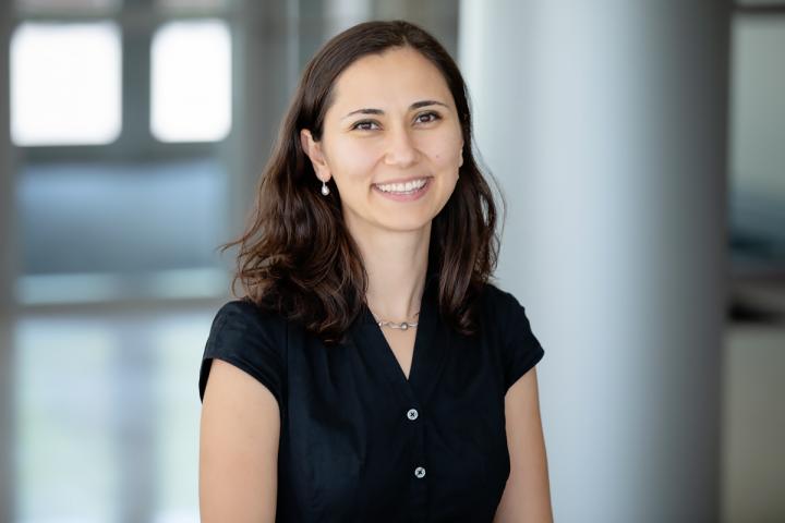 Professor Zeynep Madak-Erdogan at the University of Illinois