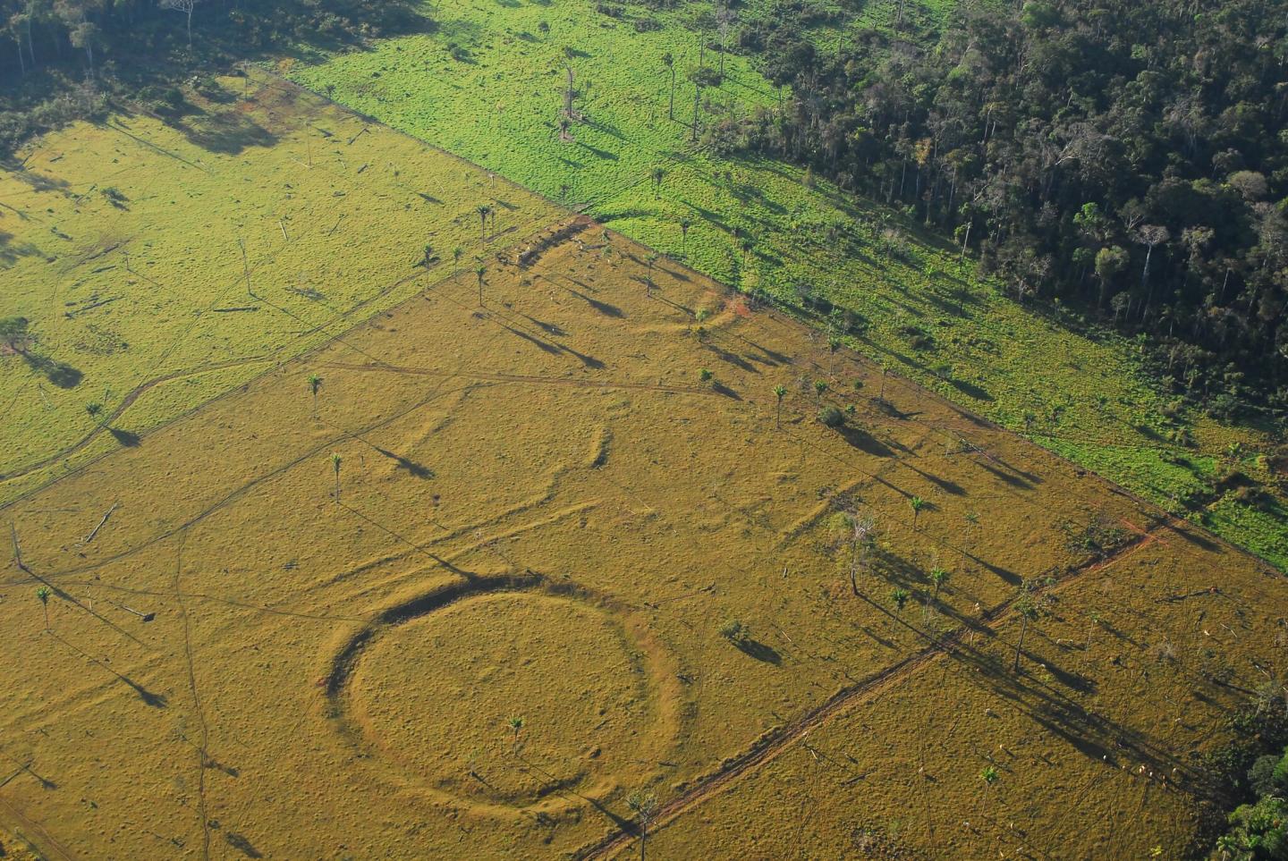 Geoglyph Photos (1 of 2)