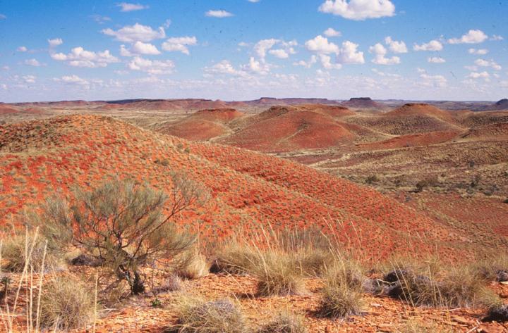 Jeerinah Formation in Western Australia -- For Paper