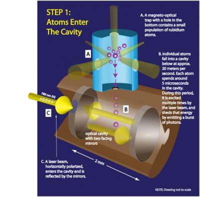 Step 1 in Single-Atom Detection System