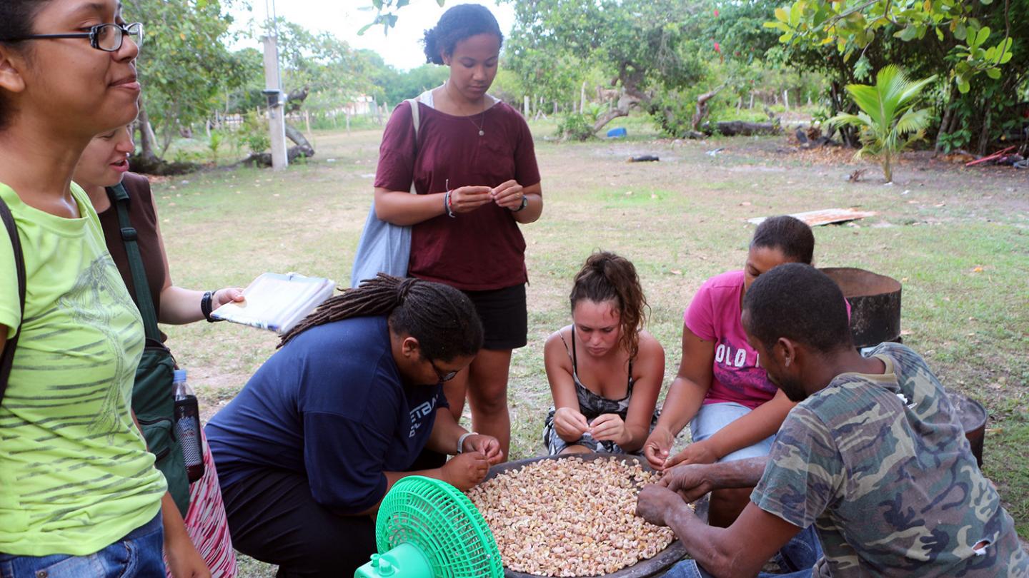 Fieldwork in Belize