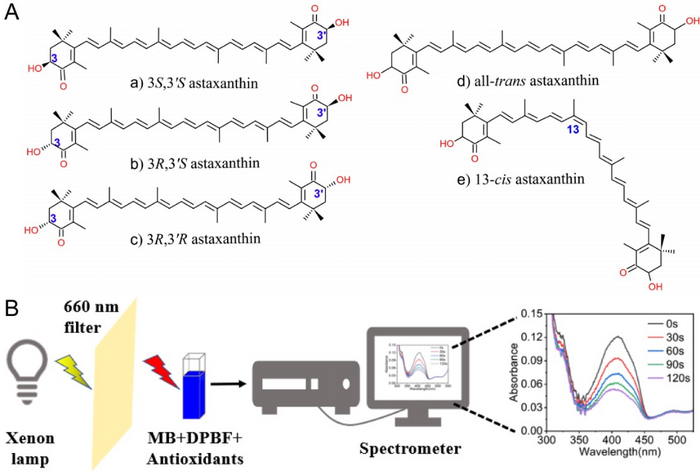 Differences Found in Antioxidant Activities of Astaxanthin Isomers Against Singlet Oxygen Evaluated Using a Spectroscopic Method