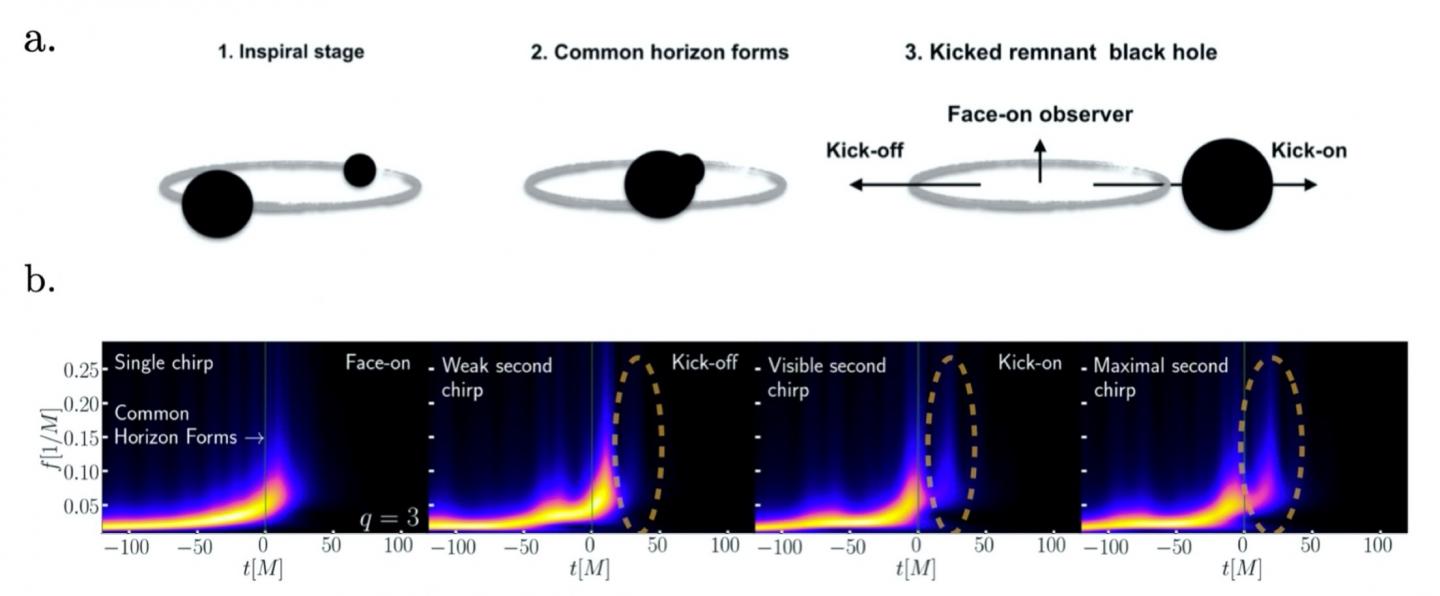 steps of a black hole