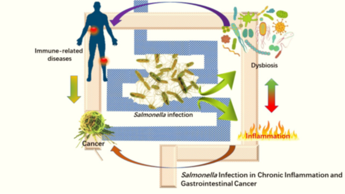 New CMJ Review Article Explores Link Between Bacterial Infection and Colorectal Cancer