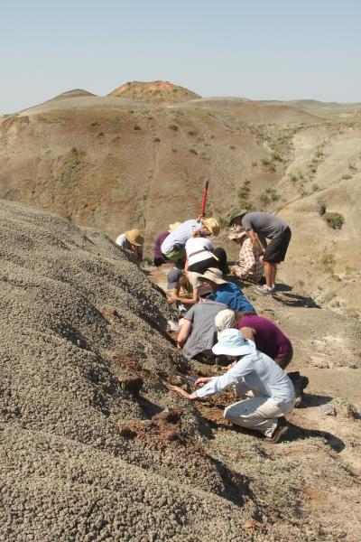 McGill Field Work in Saskatchewan, Canada