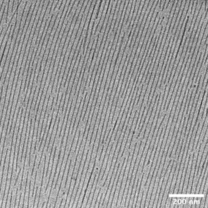 Supramolecular hydrogelator filaments