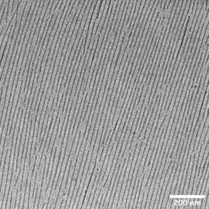 Supramolecular hydrogelator filaments