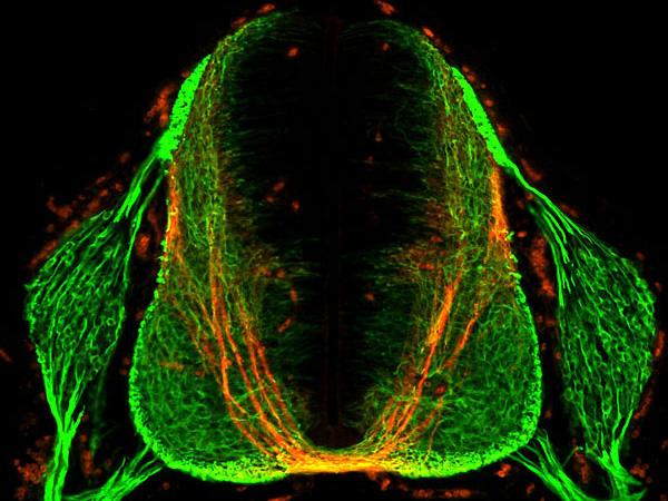 Pathfinding Accomplished
