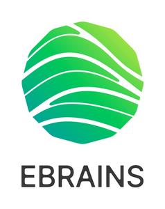 EBRAINS Research Infrastructure