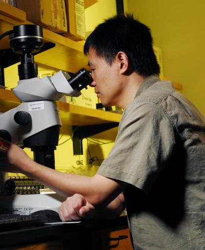 Lin Jiang, Georgia Tech (2 of 2)