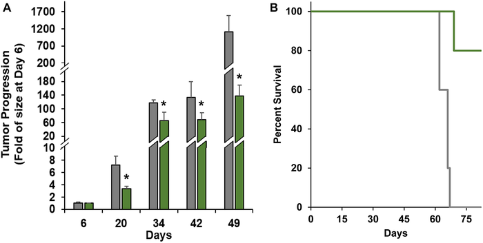 Efficacy of nanoTCEs in vivo. (A) Tumor progression and (B) Kaplan-Meier survival comparison between mice treated with Isotype/CD3 (grey; n = 5) or CD33/CD3 nanoTCEs (green; n = 5)