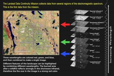 LDCM's Observations at Different Wavelengths are Combined