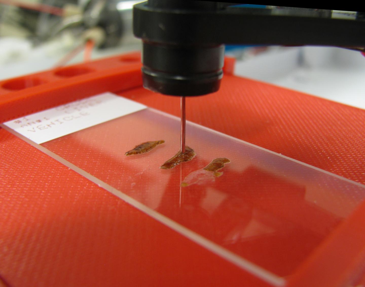 Surface Sampling Probe