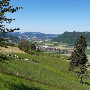 Gürbe valley