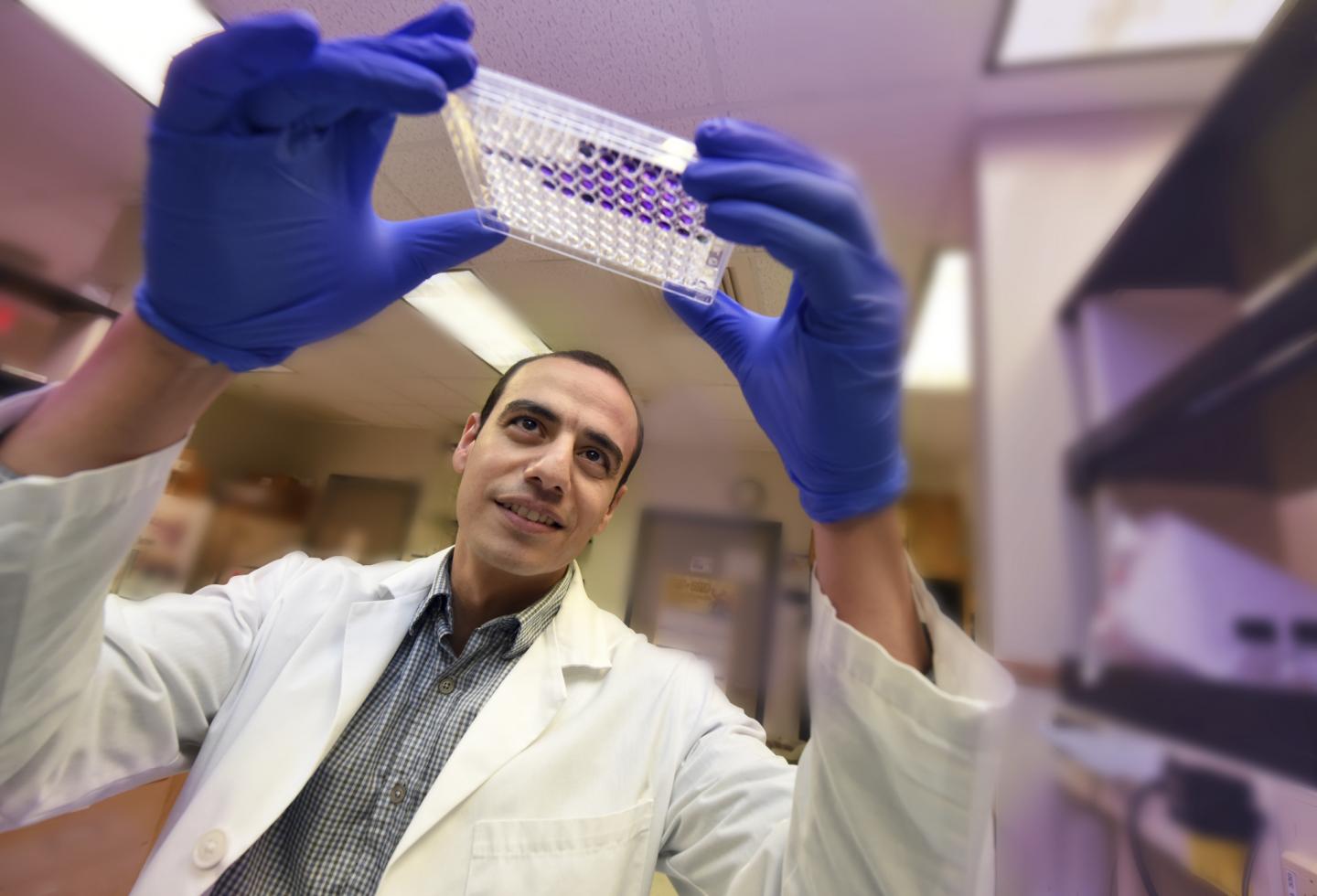 Dr. Abdelrahman Y. Fouda, Medical College of Georgia at Augusta University