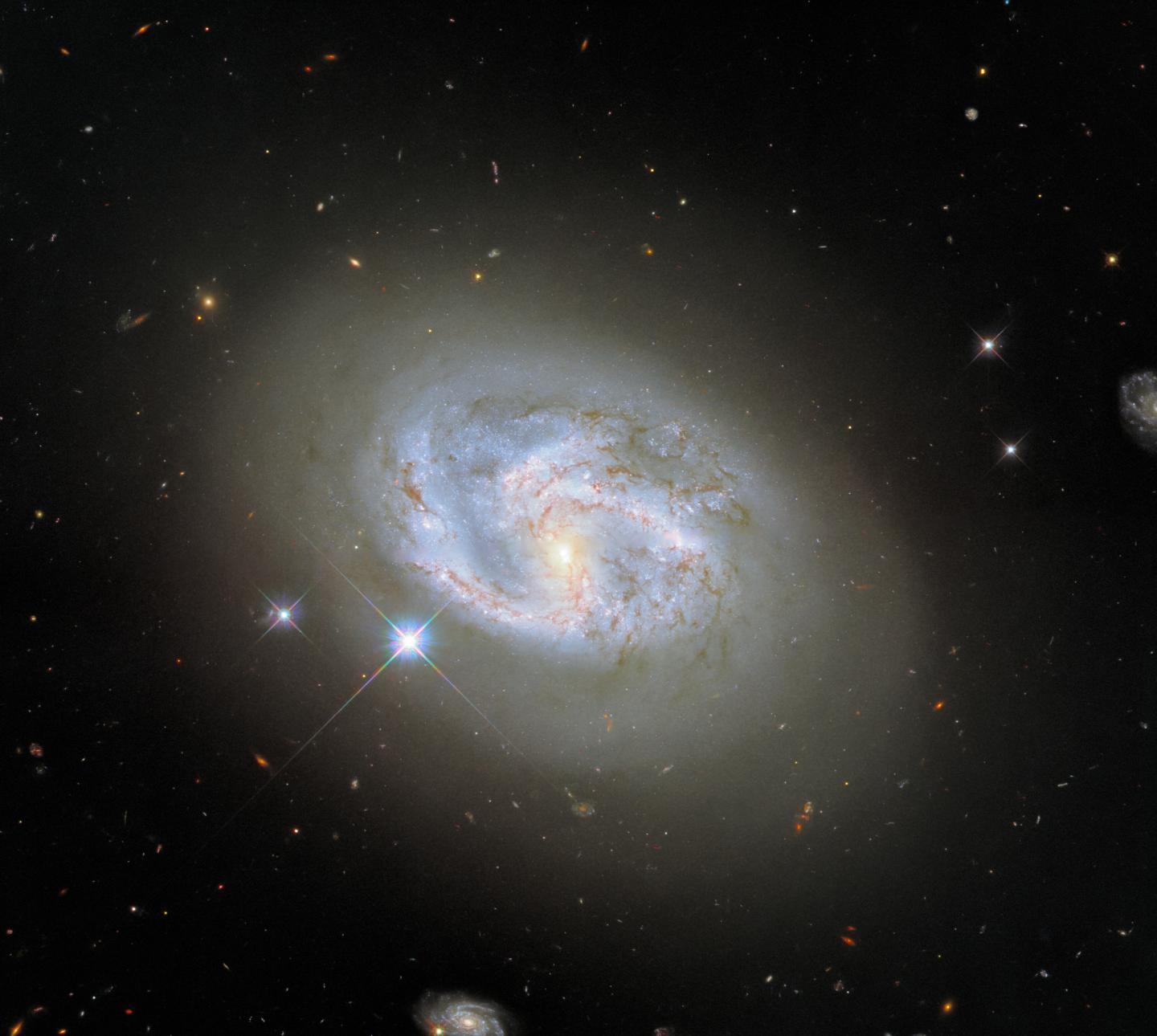 Hubble Sees a Spiral in Good Company