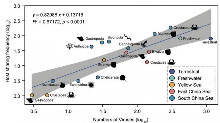 Figure 2. Possible host-sharing pattern of viruses in major invertebrate habitats.