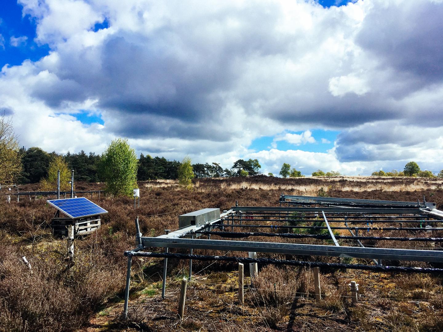 Long-Term Drought Experiment