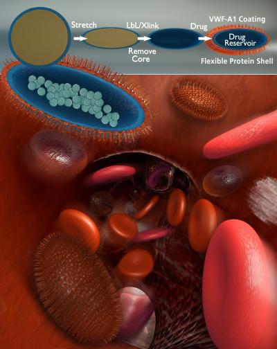 Artist's Rendering of Artificial Platelets and Artificial Red Blood Cells