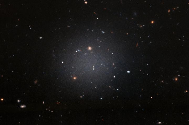 A Ghostly Galaxy Lacking Dark Matter