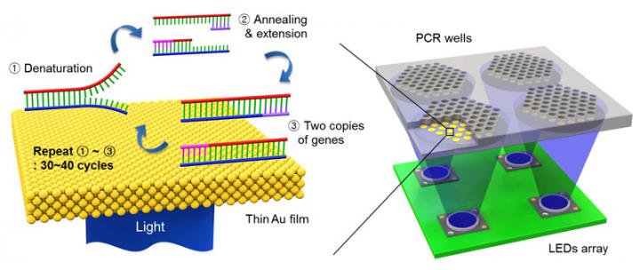 PCR Schematic