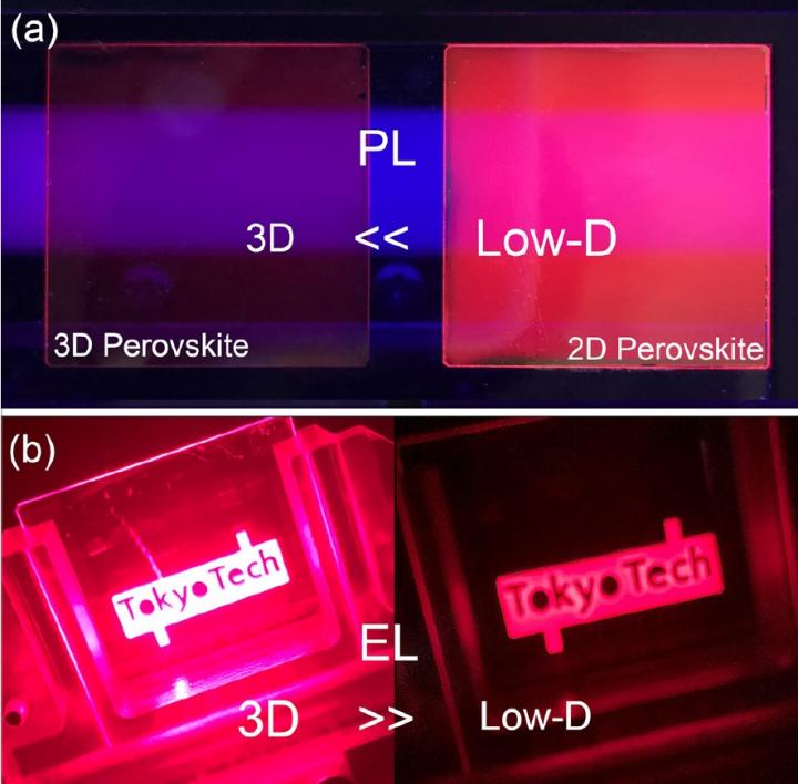 Photoluminescence and Electroluminsecence in Low-Dimensional and 3D Perovskite-Based Devices