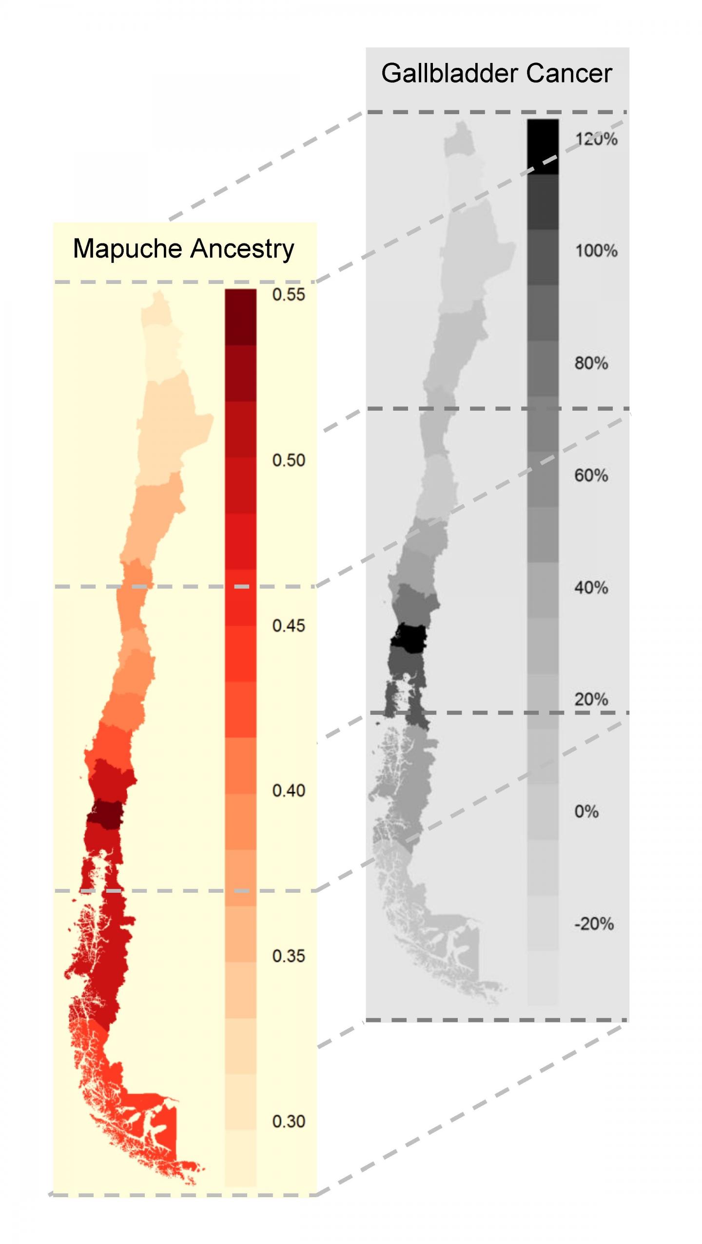 Latin-Americans with Different Native-American Ancestry Show Different Health Risks