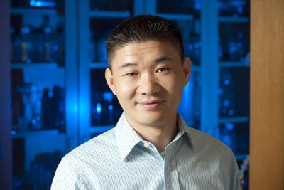 Rugang Zhang, The Wistar Institute