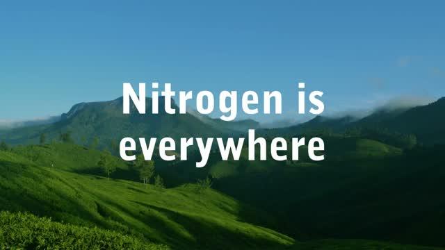 Nitrogen Video