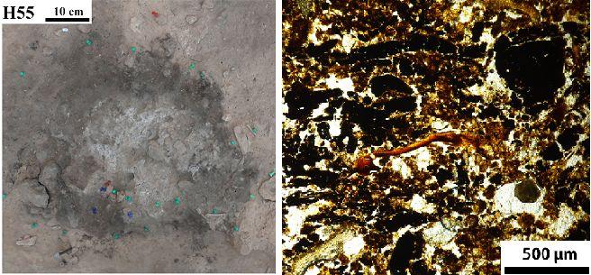 Modern Analysis of Ancient Hearths Reveals Neanderthal Settlement Patterns