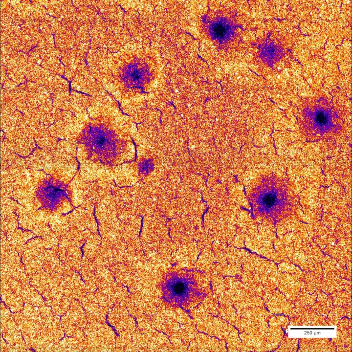 X-Ray Study Images Structural Damage in Lithium-Ion Batteries